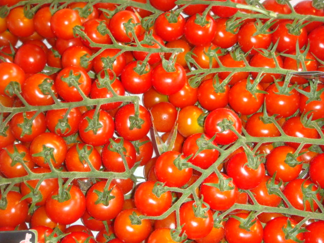 Les tomates cerises cultivees sans insecticides