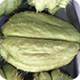 Chayote / Christophine