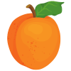 Abricots