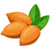 Amandes, noisettes, noix fraiches