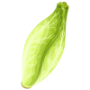 Endives
