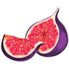 Figues