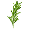 Herbes - Epices - Sel