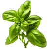 Herbes fraiches
