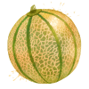 Melons