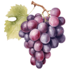Raisins
