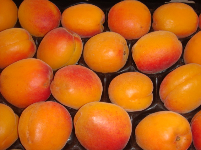 L'abricot orangered