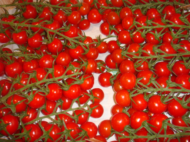 Les tomates cerises grappes